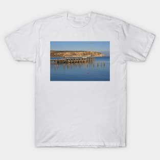 Swanage Pier & Ballard Down T-Shirt